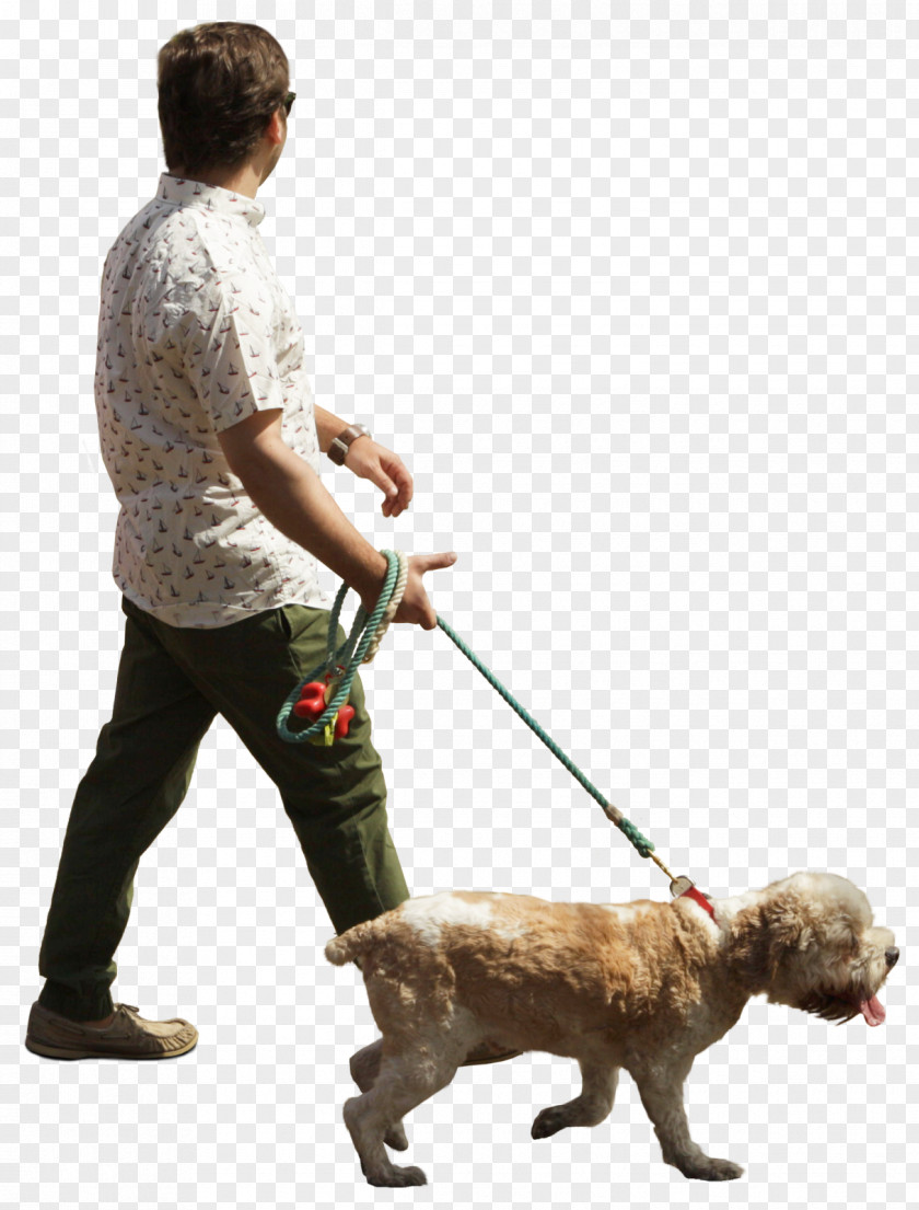 Man Walking Dog Breed Puppy Obedience Training PNG