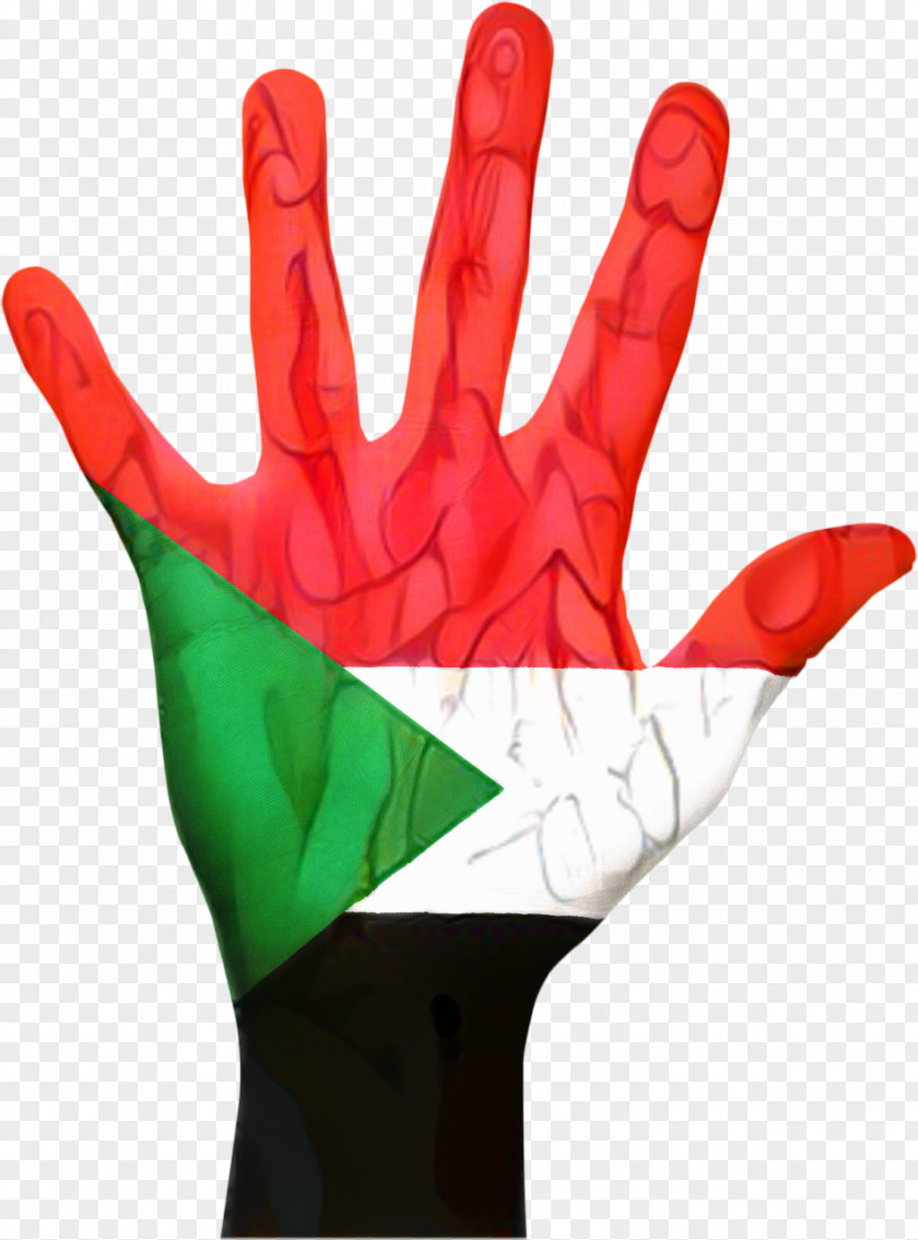 Safety Glove Latex Pakistan Flag PNG