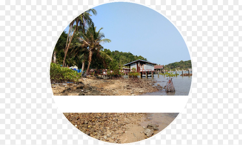 Vacation Shore Water Resources Land Lot Tourism PNG
