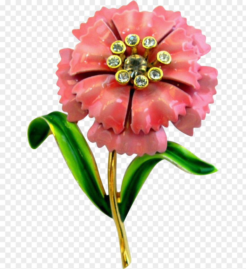 Carnation Flower Jassi Gill Cut Flowers Transvaal Daisy Floral Design PNG