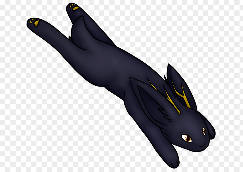 Cat Sea Lion Hare Earless Seal PNG