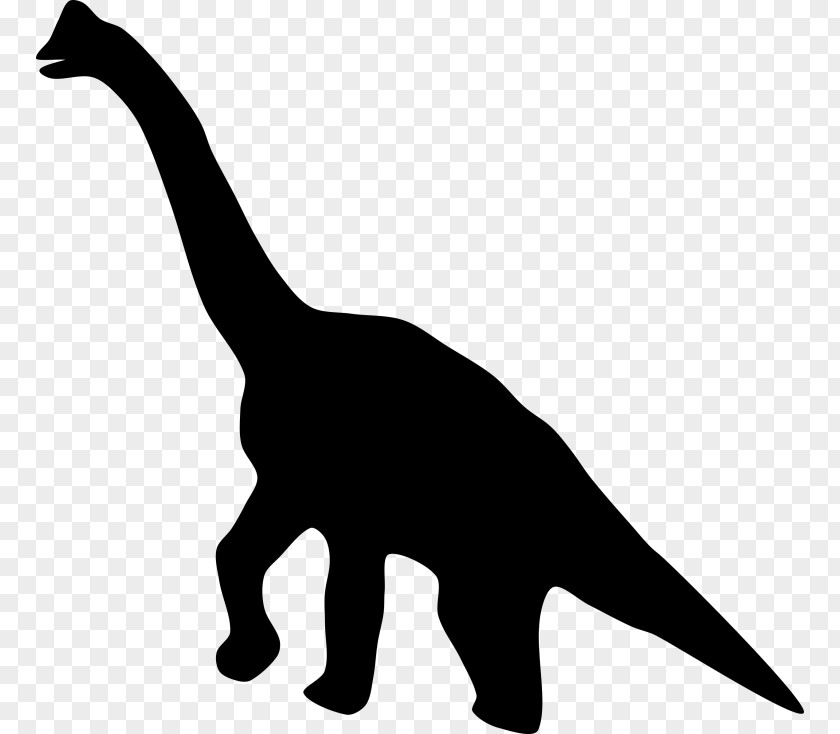 Dinosaur Tyrannosaurus Footprints Reservation Clip Art PNG