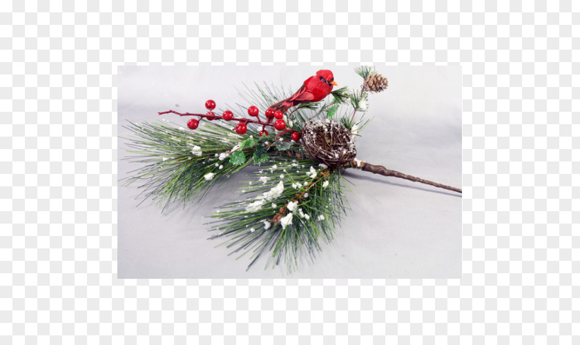 Flower Floral Design Christmas Ornament Spruce Cut Flowers PNG