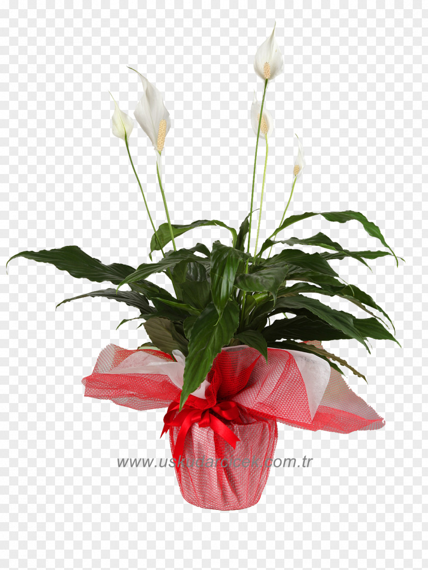 Rose Cut Flowers Floristry Vase PNG