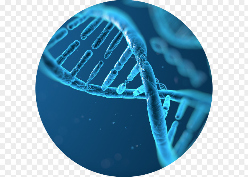 Test Anxiety DNA Profiling Molecular Biology Genetics PNG