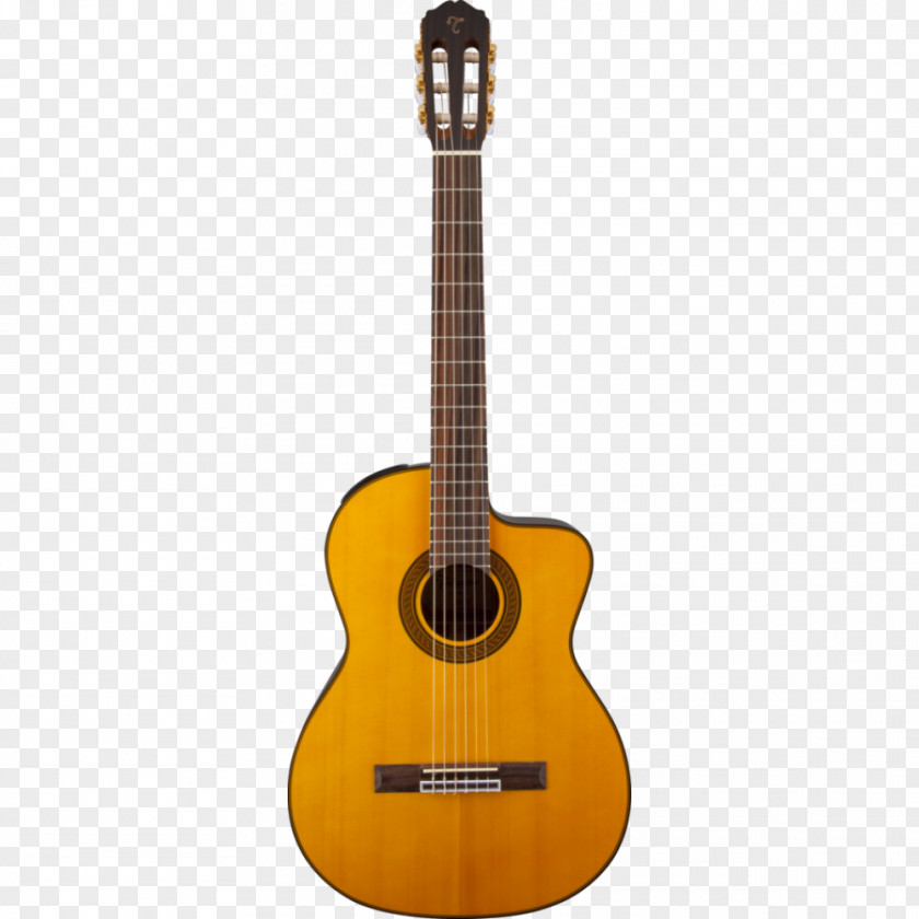 Acoustic Guitar Seven-string Takamine Guitars Classical PNG