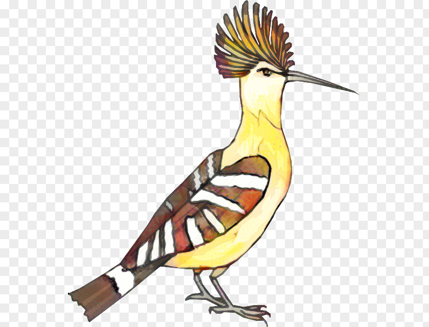 Beak Clip Art Illustration Fauna Feather PNG
