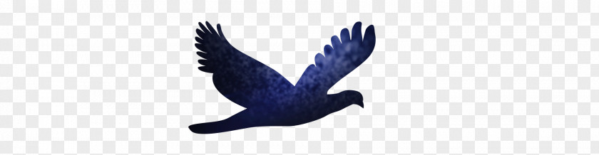 Bird Pattern Logo Brand Text Beak Font PNG