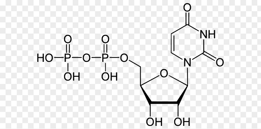 Botulinum Toxin Uridine Diphosphate Monophosphate Triphosphate Adenosine PNG