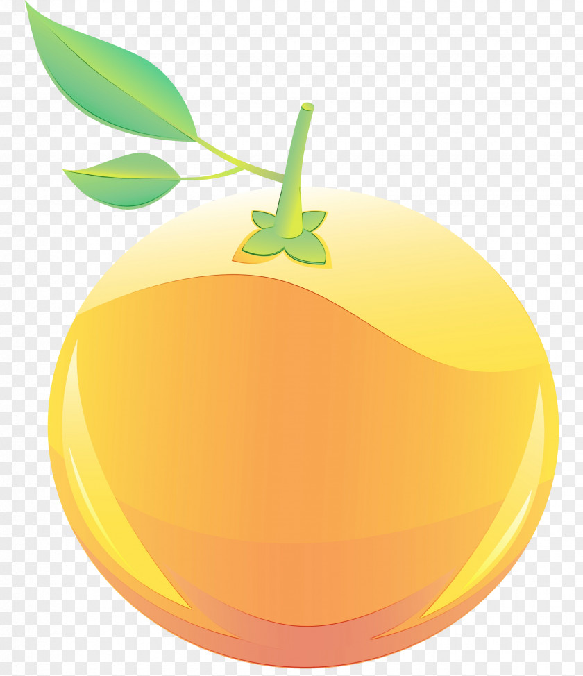 Citrus Grapefruit Orange PNG