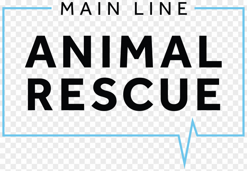 Dog Animal Colors Shapes Main Line Rescue Group PNG