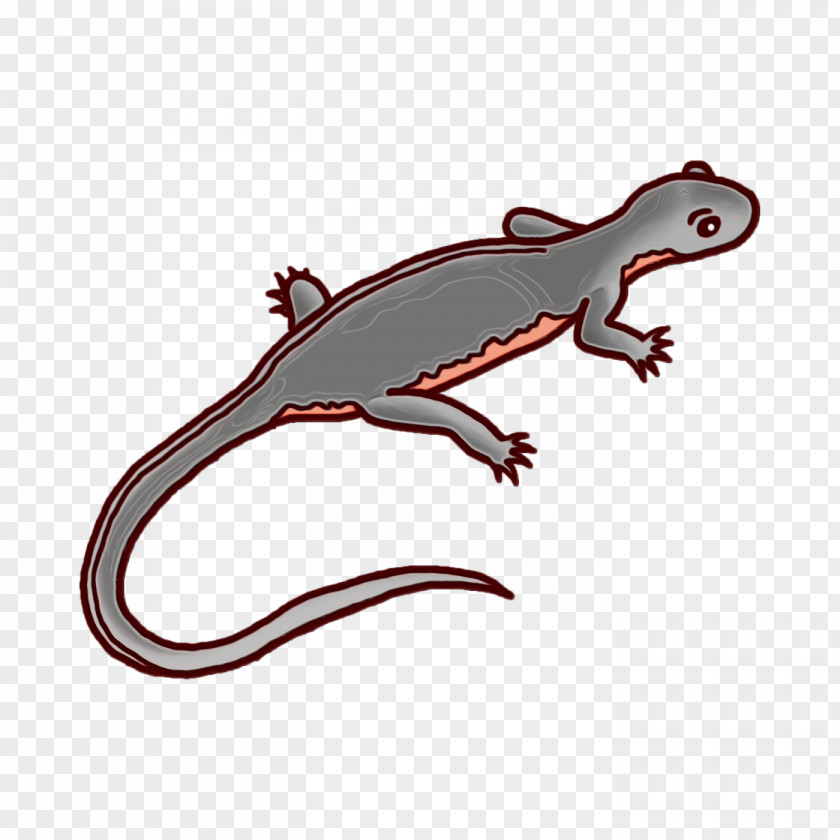 Gecko Amphibians Lizard Biology Science PNG