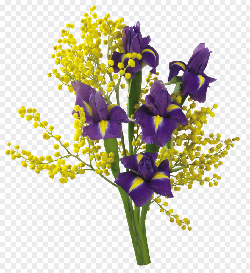 Iris Flower Bouquet Desktop Wallpaper Cut Flowers Computer PNG