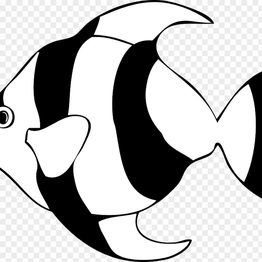 Killer Whale Tail Cartoon PNG