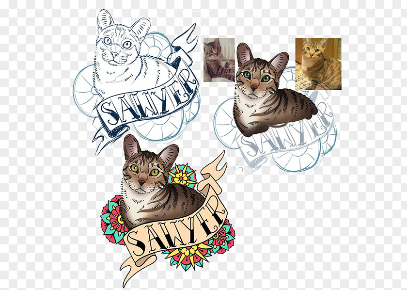 Kitten Tabby Cat Whiskers PNG