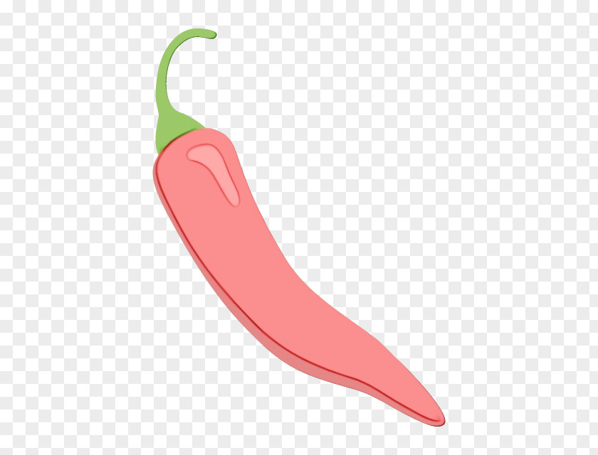 Peperoncini Capsicum Chili Pepper Bell Peppers And Vegetable Tabasco Jalapeño PNG