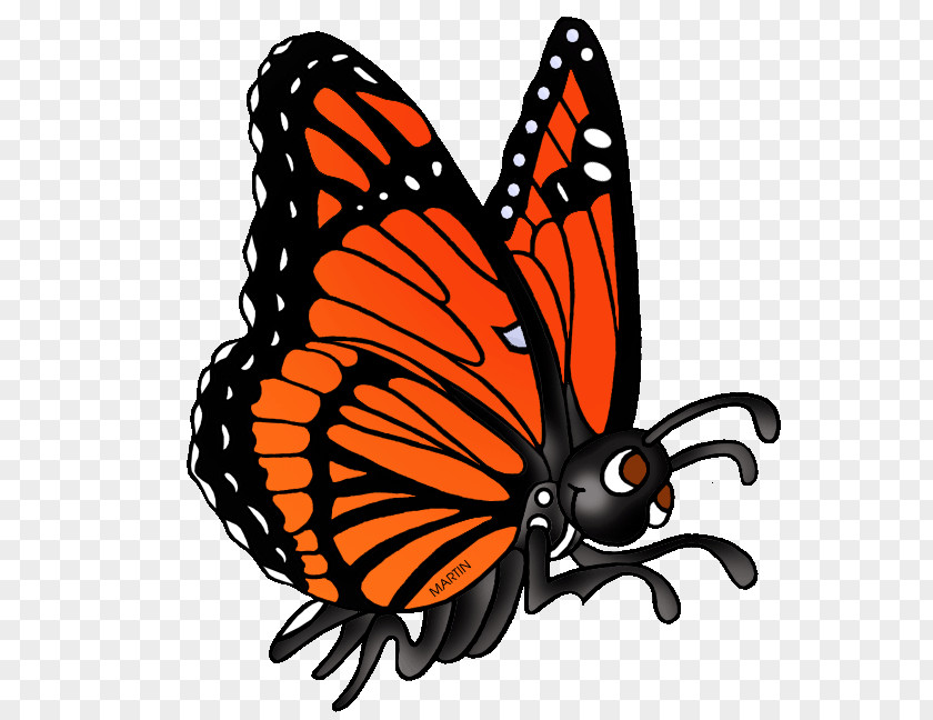 Pollinator Brushfooted Butterfly Monarch PNG