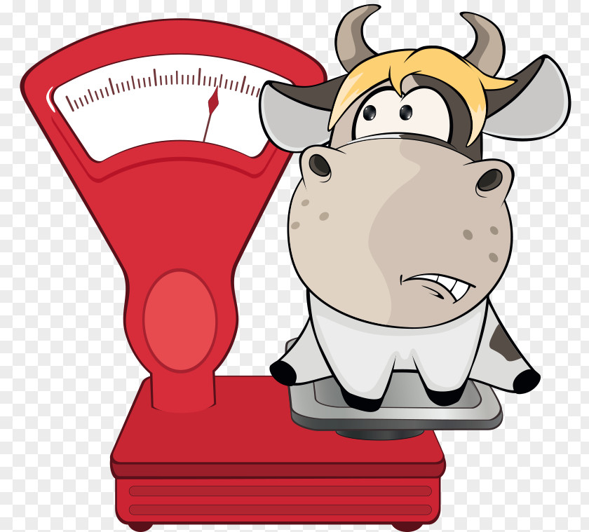 Cattle Measuring Scales PNG