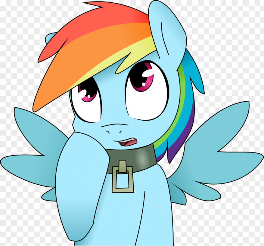 Collar Vector Pony Rainbow Dash Dog Horse PNG