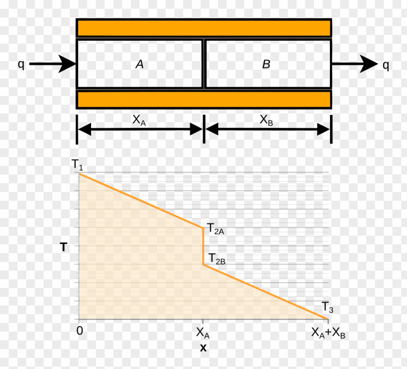 Drosophila Thermal Contact Conductance Electrical Resistance And Conduction PNG