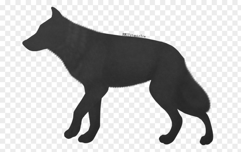 Ice Wolf Schipperke Dog Breed Wildlife Fur PNG