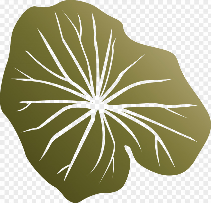 Leaf PNG