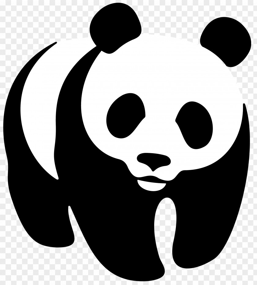 Panda Cute World Wide Fund For Nature Australia Natural Environment Wildlife Day Organization PNG