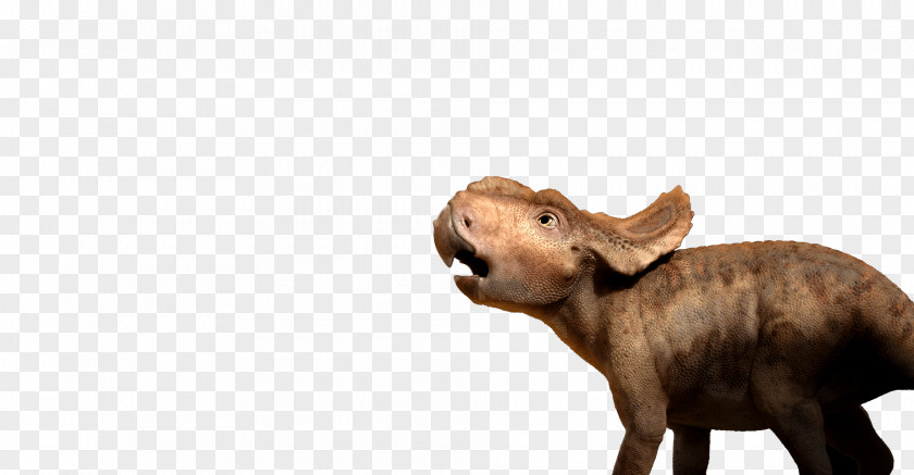 Walking With Dinosaurs Pachyrhinosaurus Dinosaur PNG