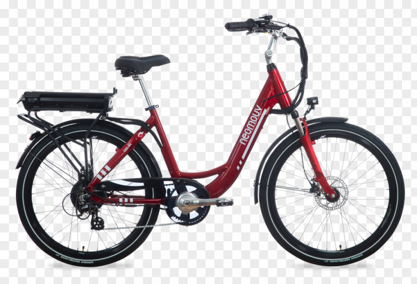 Carlina Vulgaris Electric Bicycle Pedelec Hybrid Vehicle PNG