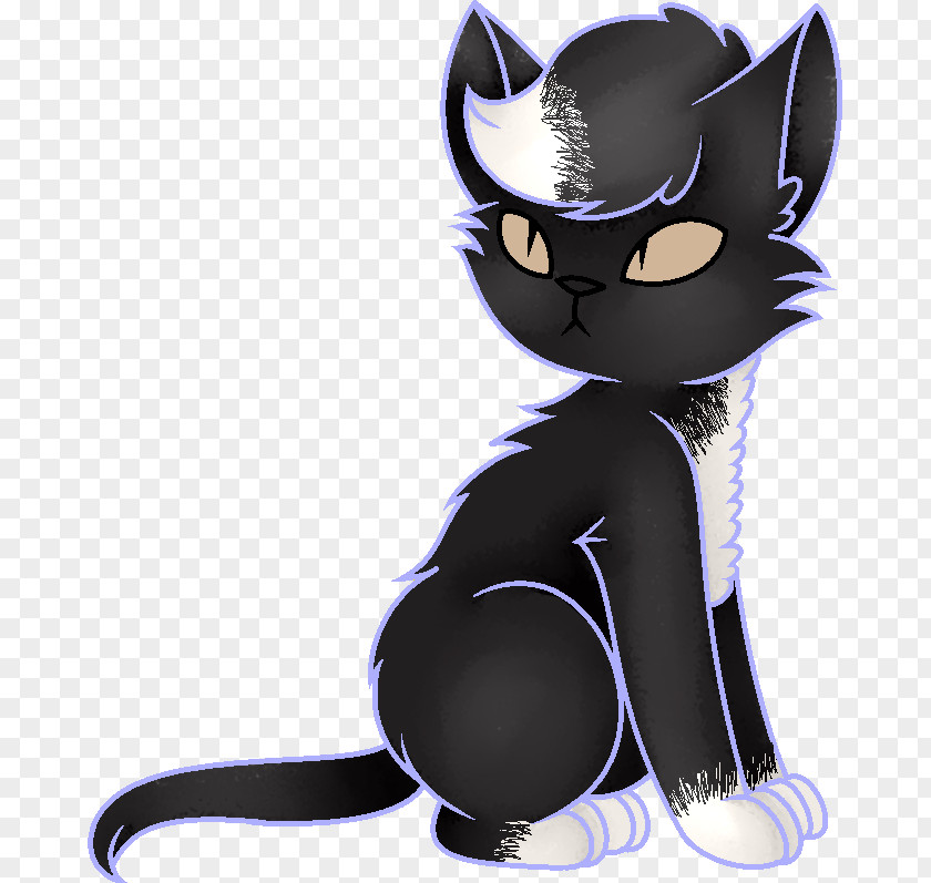 Kitten Black Cat Whiskers Horse PNG