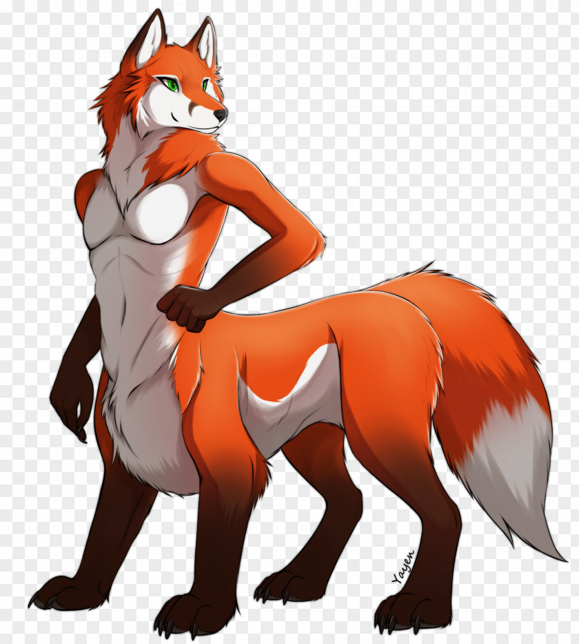 Red Fox DeviantArt Female PNG