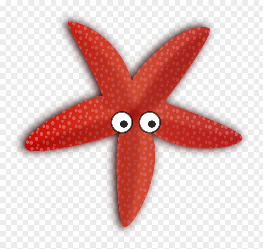 Starfish Clip Art Image Free Content PNG