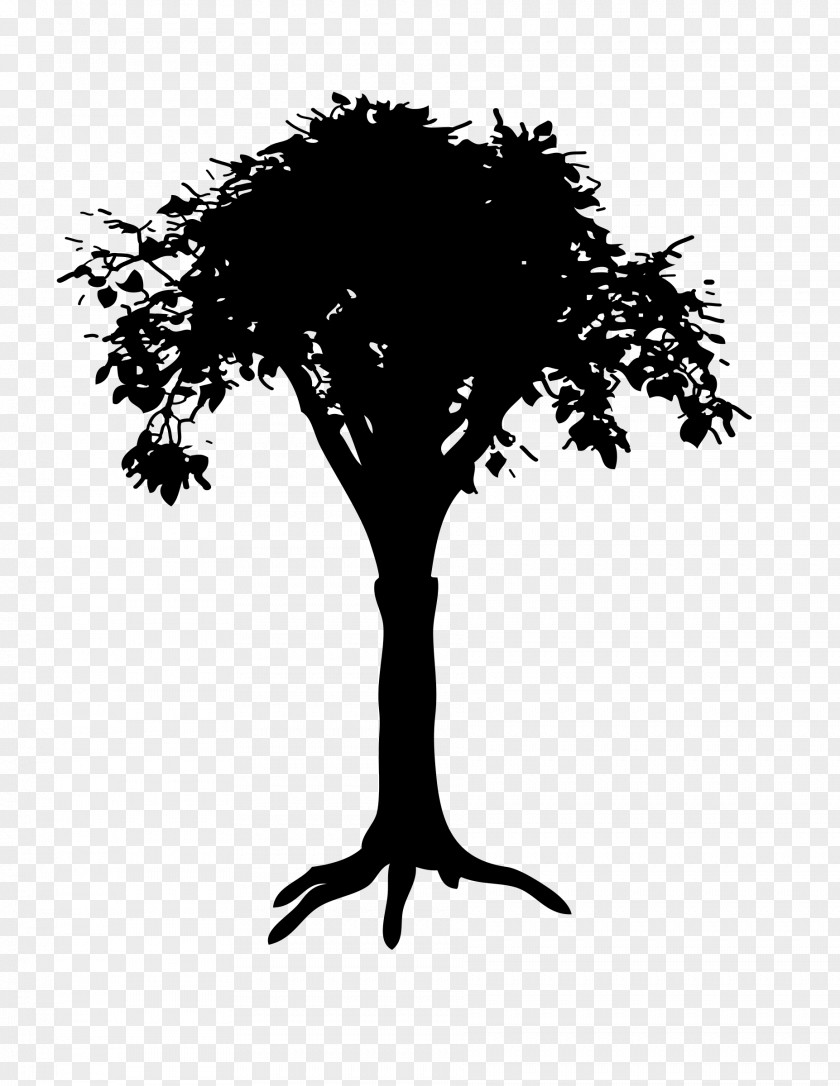 Tree Drawing Clip Art PNG