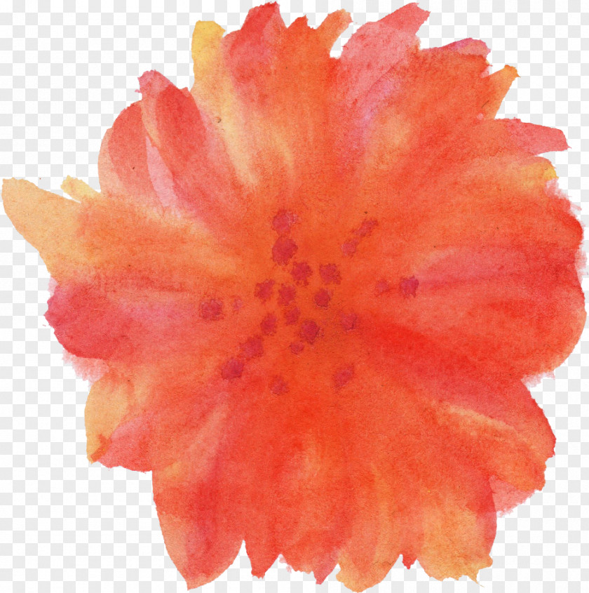Watercolor Flower Transparent Painting PNG