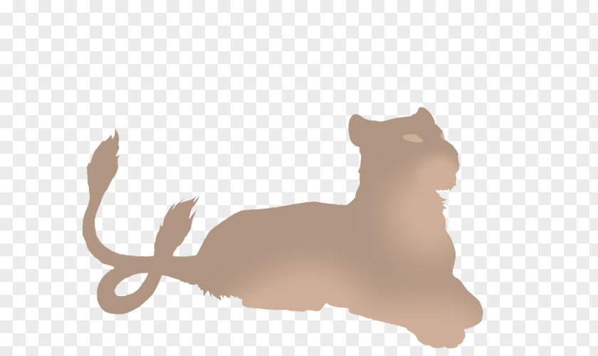 Lion Whiskers Cat Leopard Cheetah PNG
