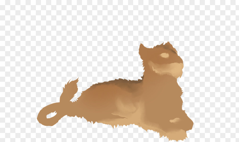 Lion Whiskers Dog Marozi Cat PNG