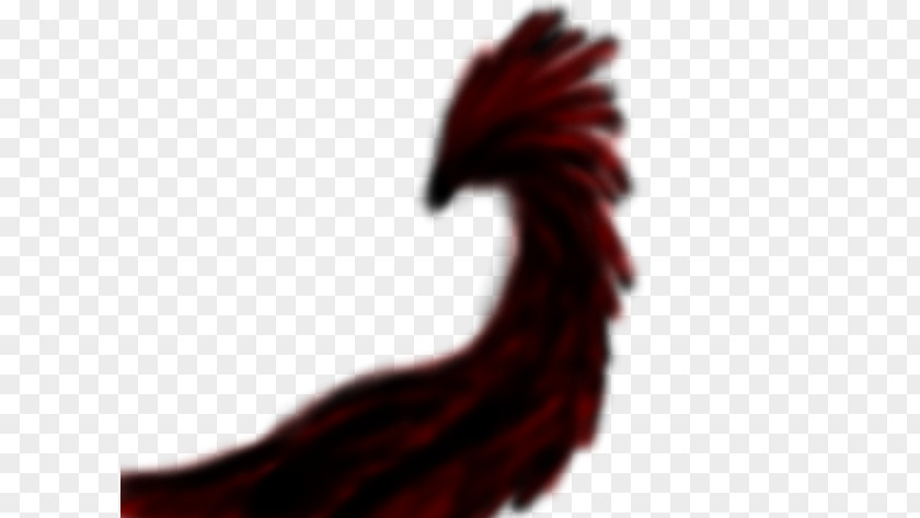 Phoenix Wing Rooster Close-up Font PNG