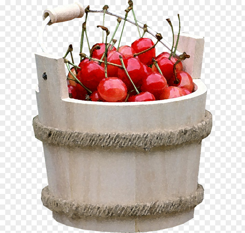 Red Cherry Fruit Guignolet PNG