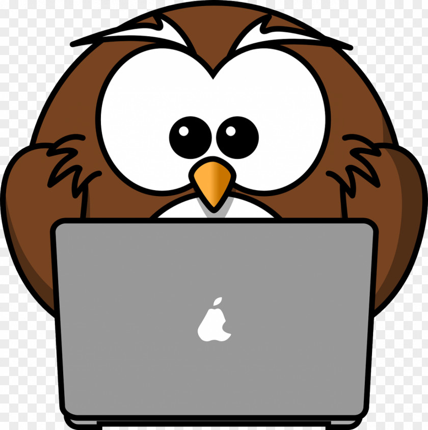 Wise Man Owl Cartoon Drawing Clip Art PNG