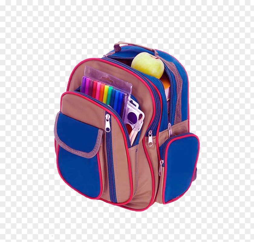 Bag Backpack Satchel Picture Frames Briefcase PNG