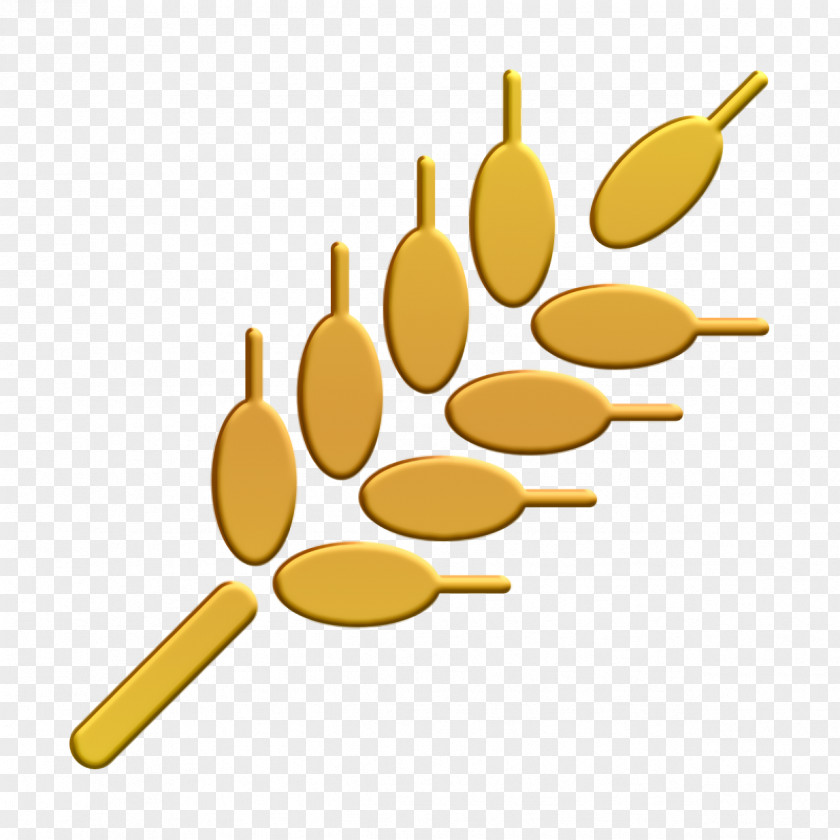 Ear Of Wheat Icon Four Seasons Nature PNG