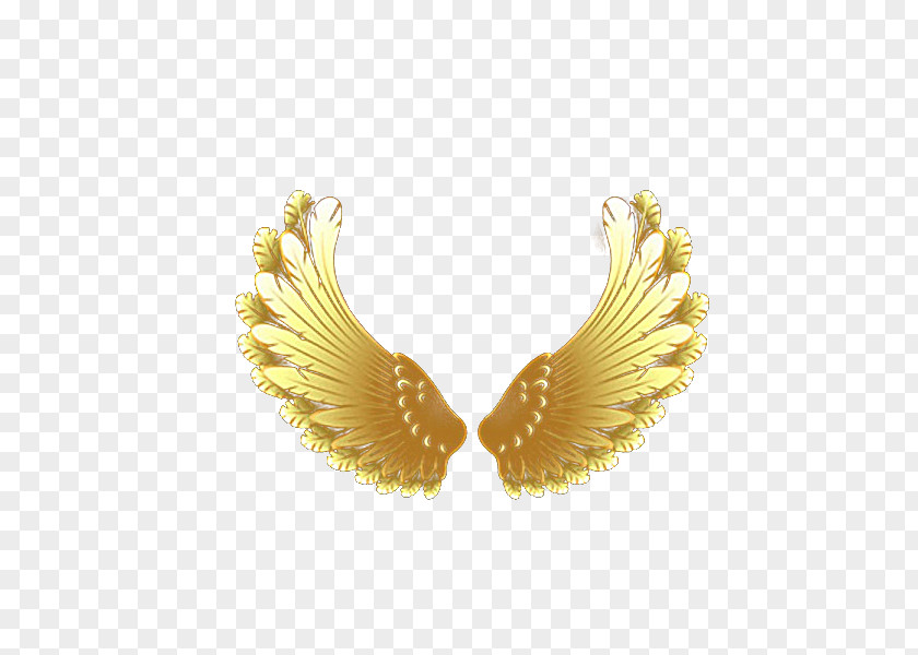 Golden Wings Download Computer File PNG