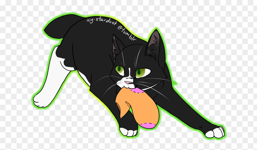 Kitten Black Cat Whiskers Tabby Domestic Short-haired PNG