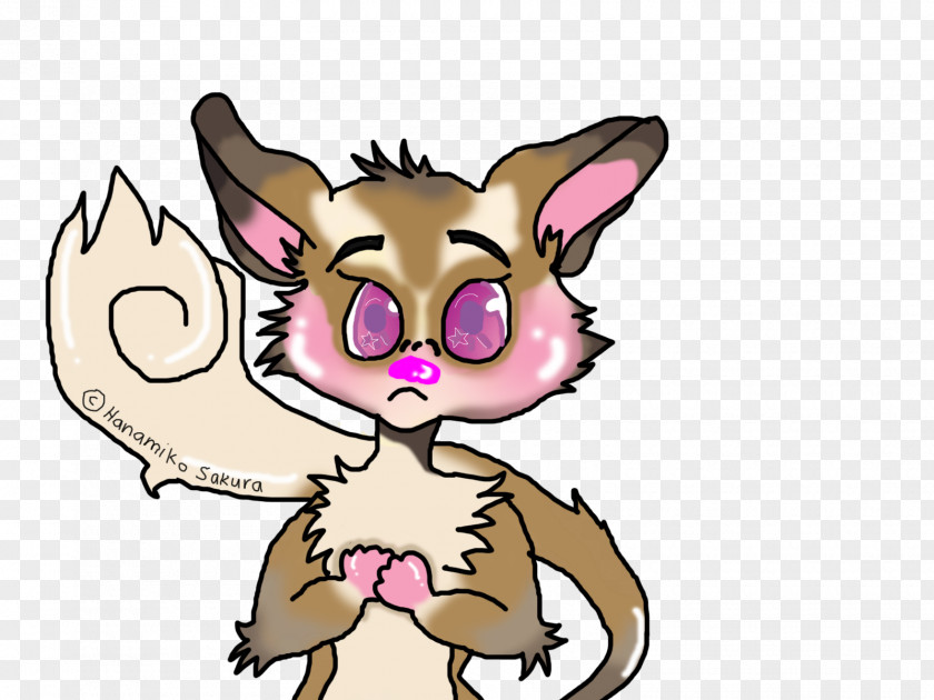 Sugar Glider Whiskers Cat Dog Snout Clip Art PNG