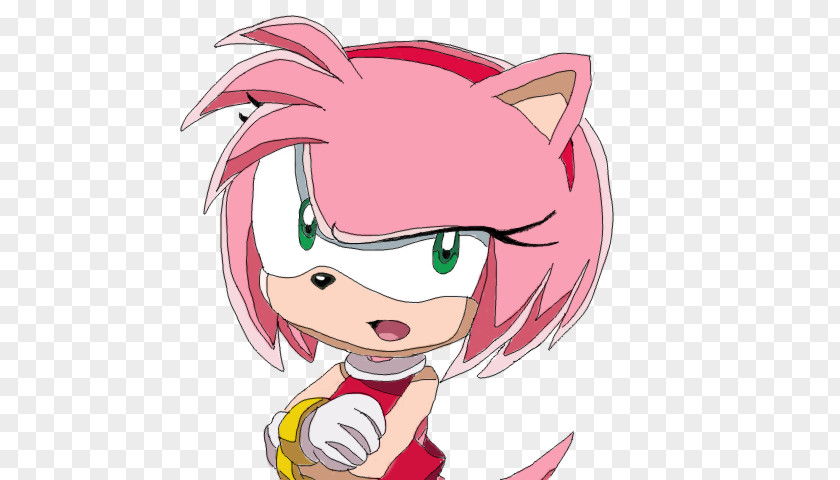 Amy Rose Sonic & Knuckles Rouge The Bat Tails Echidna PNG
