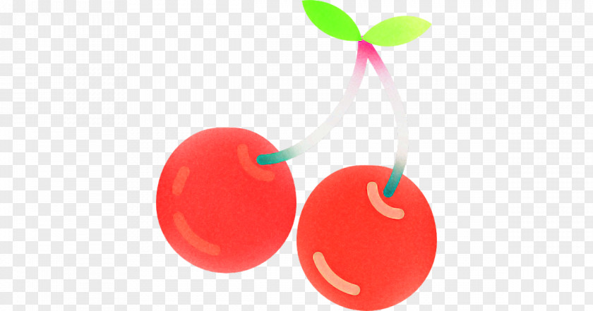 Cherry Red Fruit Plant Drupe PNG