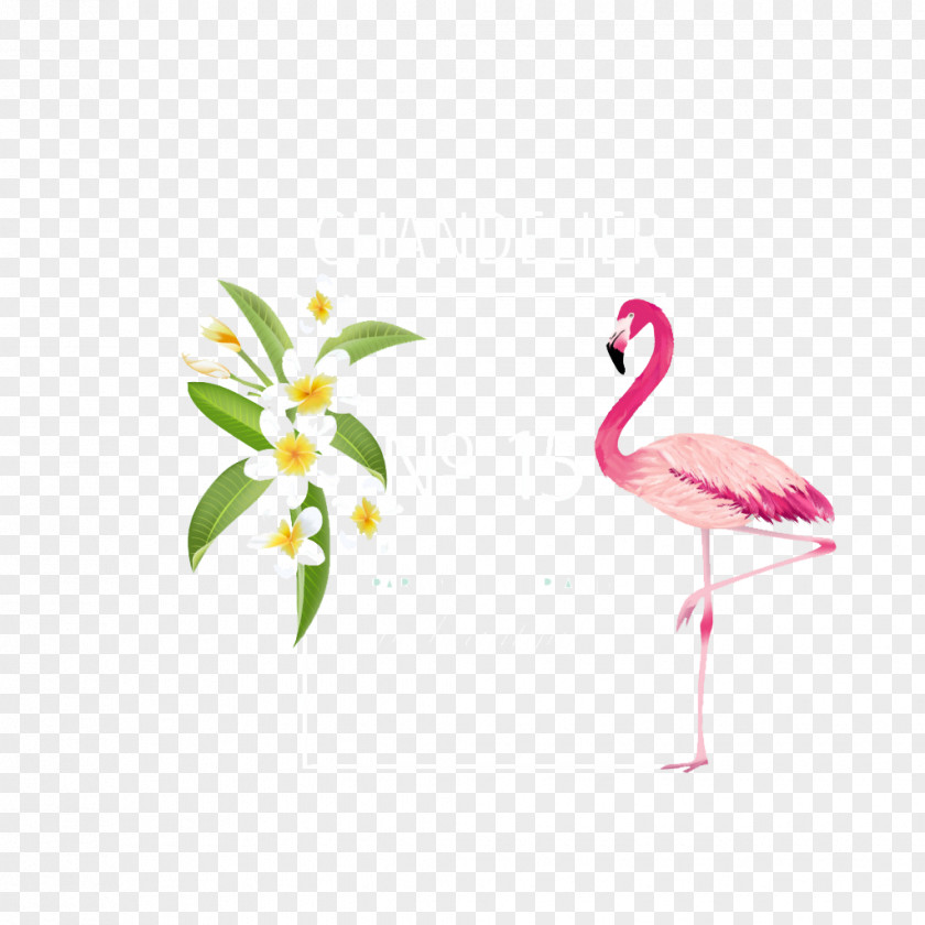 Flamingo Decorative Background Flower Euclidean Vector PNG