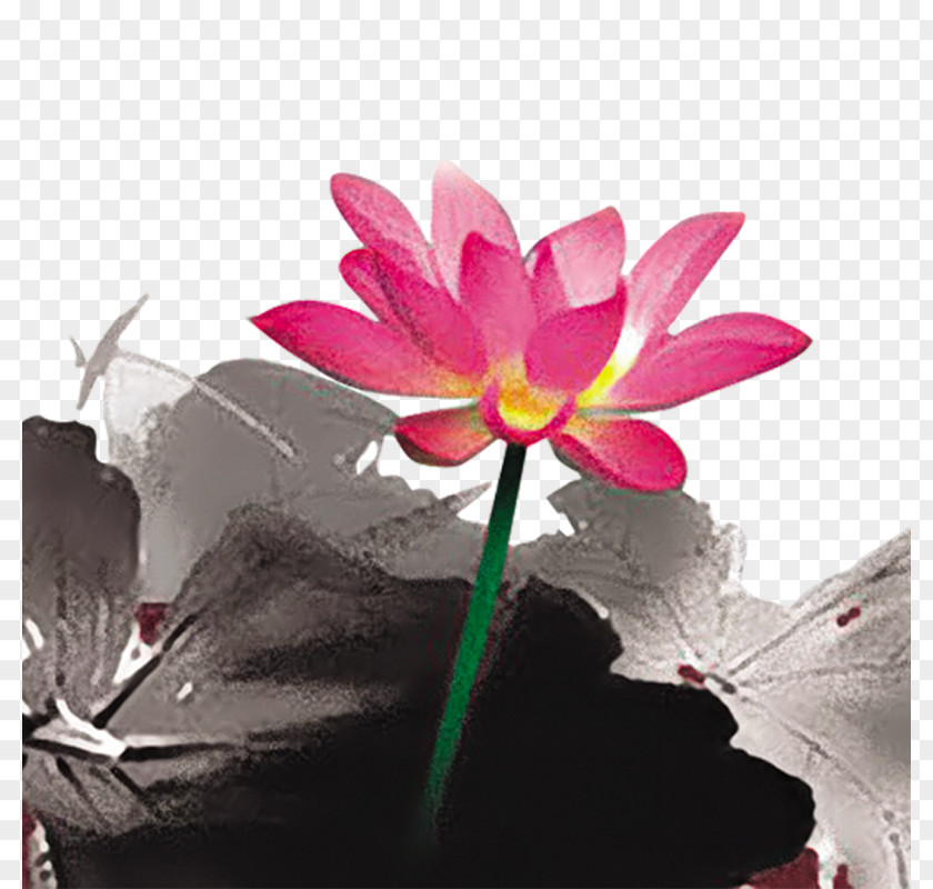 Lotus Nelumbo Nucifera Ink Wash Painting Download PNG