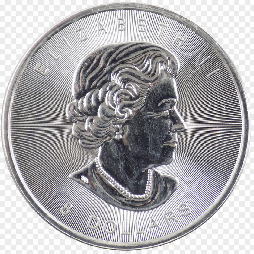 Metal Coin Silver PNG