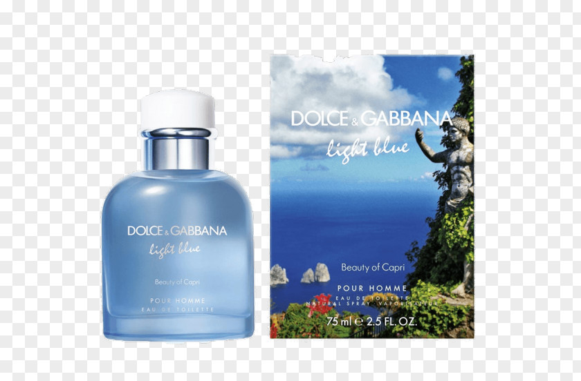 Perfume Dolce Gabbana Fragrances Light Blue & Eau De Toilette PNG